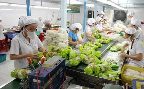 Cách Khởi Nghiệp Kiếm Tiền Bán Thời Gian Dành Cho Người Mới_Hiệu quả tiếp thị kỹ thuật số kênh