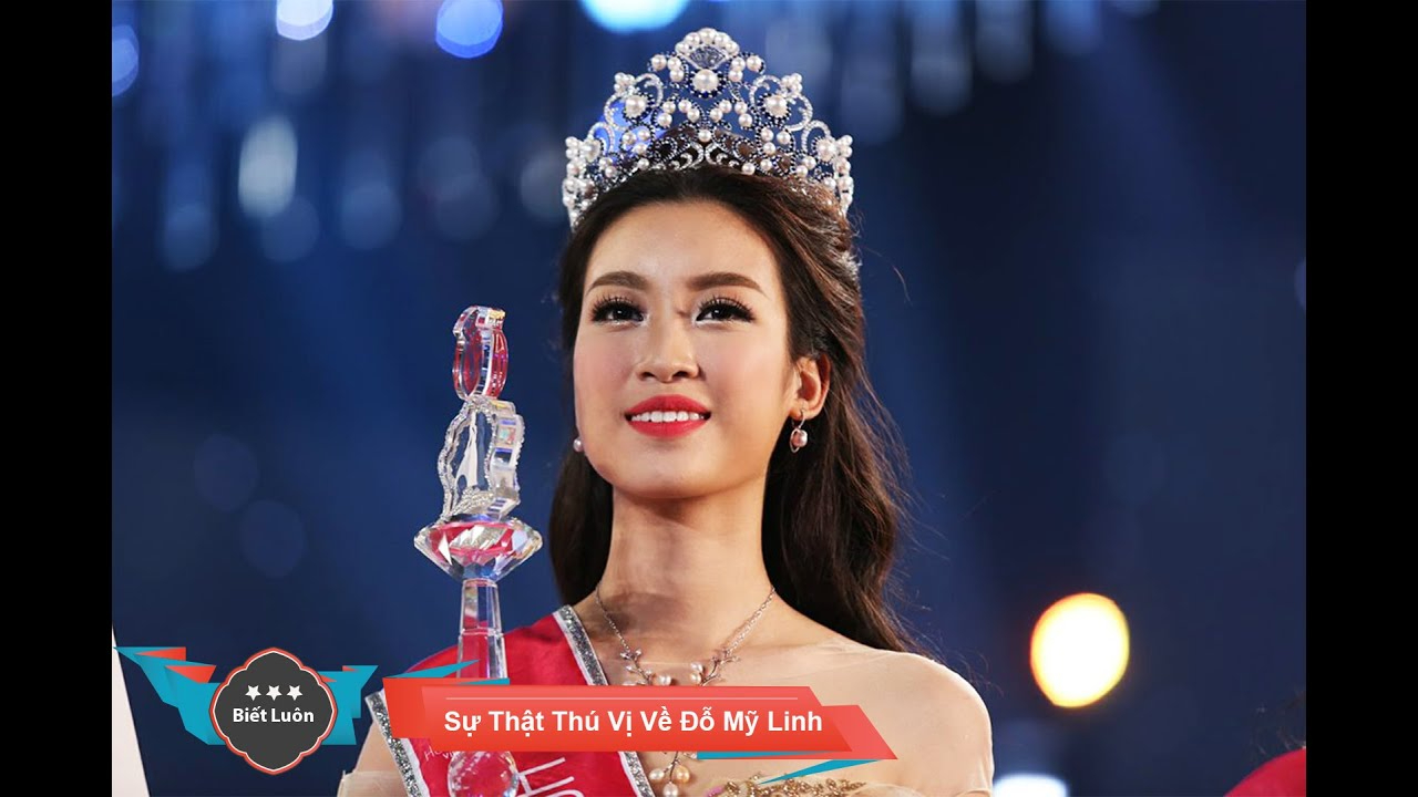 Chính sách đại lý của Hotspot Matrix: Cơ hội hợp tác bền vững trong ngành video ngắn_cách biên tập video TikTok