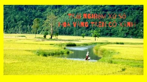 Khám phá hệ sinh thái dịch vụ video ngắn của Hotspot Matrix_video kể về tín hiệu