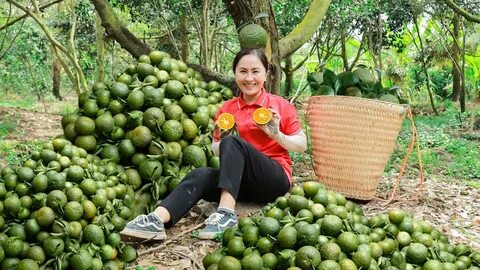 Video ngắn – Giải pháp truyền thông thông minh cho doanh nghiệp nhỏ_Phần mềm biên tập video miễn phí