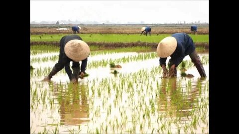 Cách Khởi Nghiệp Kiếm Tiền Bán Thời Gian Dành Cho Người Mới_dịch vụ chỉnh sửa video cho doanh nghiệp nhỏ