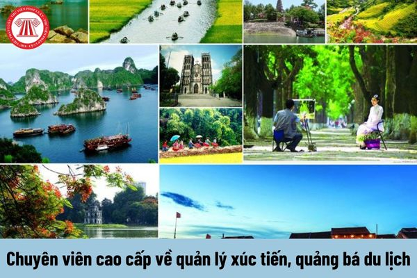 Hotspot Matrix - Giải Pháp Toàn Diện Cho Truyền Thông Số_Xu hướng video ngắn 2025