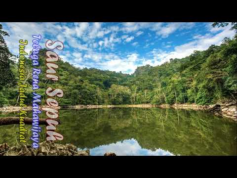 Sự Bùng Nổ Của Video Ngắn và Trí Tuệ Nhân Tạo: Vai Trò Thiết Yếu Của Đào Tạo Kỹ Năng Sáng Tạo Nội Dung_Đào tạo kỹ năng edit