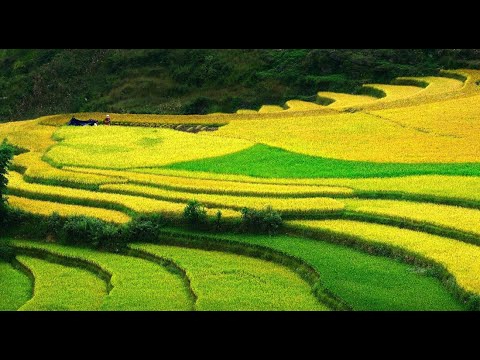 Hotspot Matrix và Nghiên Cứu: Người Phụ Nữ Không Ngủ 40 Năm_Làm video ngắn trên điện thoại