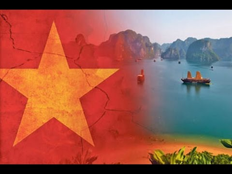 Chính sách đại lý của Hotspot Matrix: Cơ hội hợp tác bền vững trong ngành video ngắn_Hỗ trợ khởi động