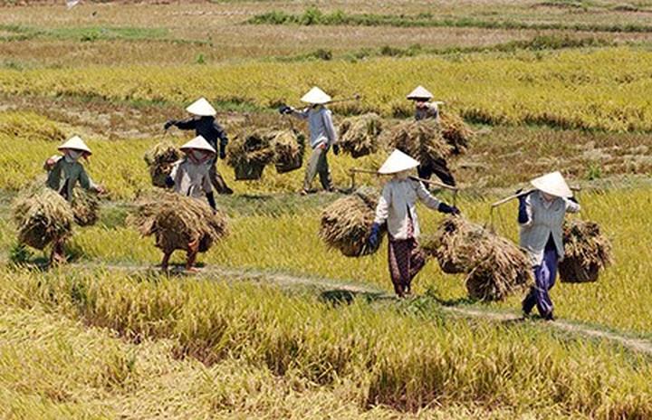 Nữ diễn viên có style